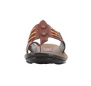 PUG-53_20Brown_20_2.jpg