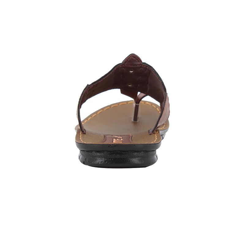 PUG-53_20Brown_20_3.jpg