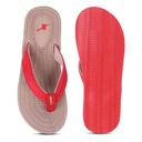 SF1179L-CLRD-6.jpg